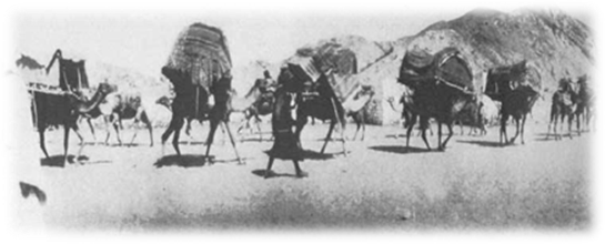 http://www.kuwait-history.net/vb/up/uploads/229080836520101127.jpg