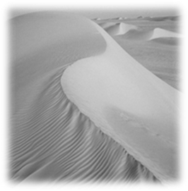 http://upload.wikimedia.org/wikipedia/commons/c/c9/Fachi-Bilma-D%C3%BCnen.jpg