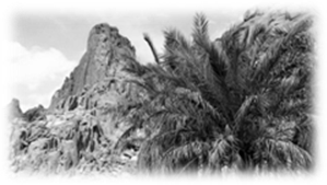 http://b.vimeocdn.com/ts/812/785/81278553_640.jpg